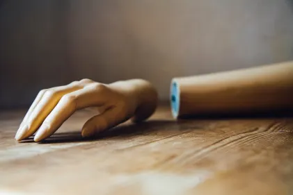 Kazino Wild Fortune Mobilioji programa